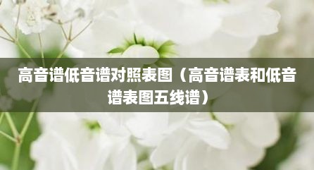 高音谱低音谱对照表图（高音谱表和低音谱表图五线谱）