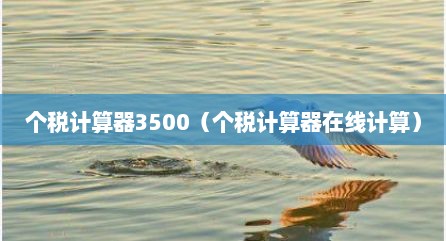 个税计算器3500（个税计算器在线计算）