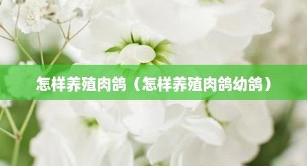 怎样养殖肉鸽（怎样养殖肉鸽幼鸽）