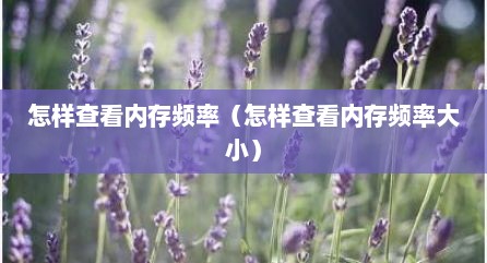 怎样查看内存频率（怎样查看内存频率大小）