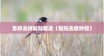 怎样去掉粘贴痕迹（粘贴去除妙招）