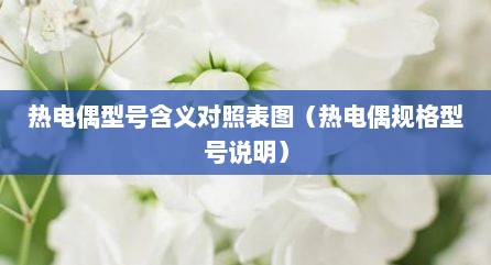 热电偶型号含义对照表图（热电偶规格型号说明）
