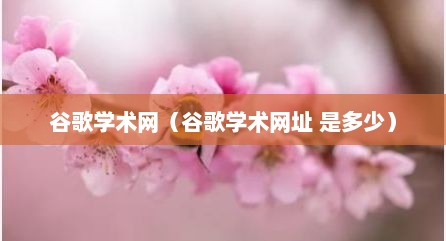 谷歌学术网（谷歌学术网址 是多少）