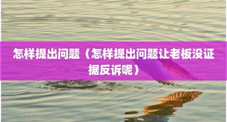 怎样提出问题（怎样提出问题让老板没证据反诉呢）