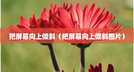 把屏幕向上倾斜（把屏幕向上倾斜图片）