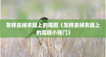 怎样去掉衣服上的霉斑（怎样去掉衣服上的霉斑小窍门）