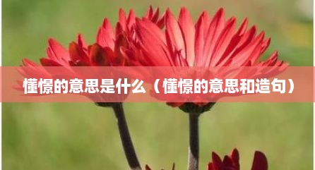 懂憬的意思是什么（懂憬的意思和造句）
