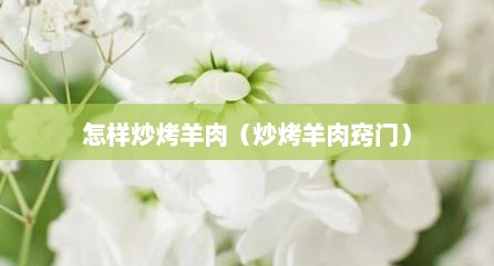 怎样炒烤羊肉（炒烤羊肉窍门）