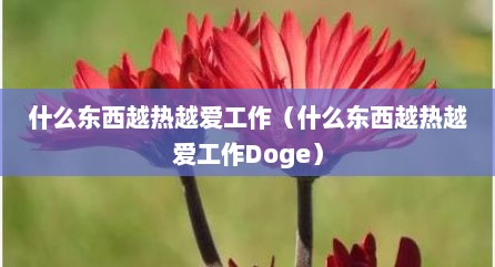 什么东西越热越爱工作（什么东西越热越爱工作Doge）