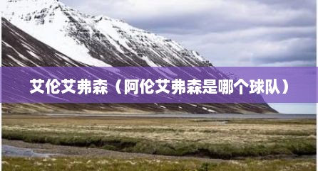 艾伦艾弗森（阿伦艾弗森是哪个球队）
