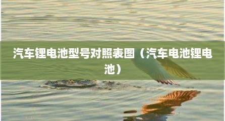 汽车锂电池型号对照表图（汽车电池锂电池）