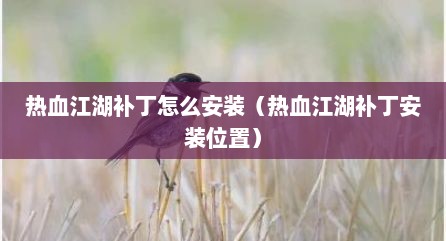 热血江湖补丁怎么安装（热血江湖补丁安装位置）