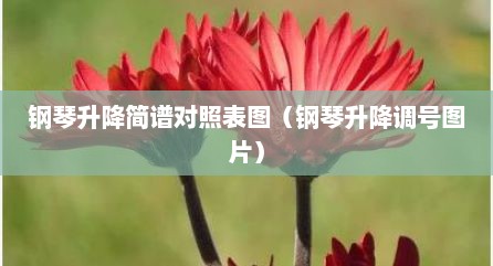 钢琴升降简谱对照表图（钢琴升降调号图片）