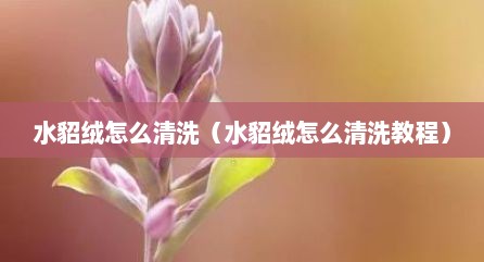 水貂绒怎么清洗（水貂绒怎么清洗教程）