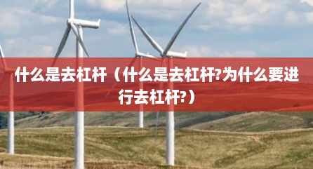 什么是去杠杆（什么是去杠杆?为什么要进行去杠杆?）