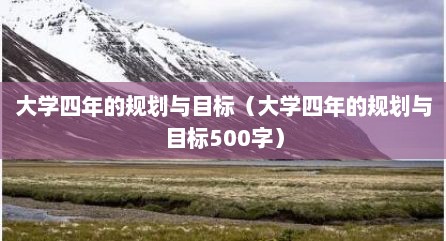 大学四年的规划与目标（大学四年的规划与目标500字）