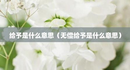 给予是什么意思（无偿给予是什么意思）