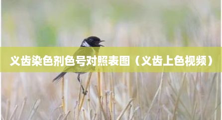 义齿染色剂色号对照表图（义齿上色视频）