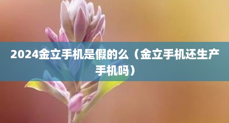 2024金立手机是假的么（金立手机还生产手机吗）