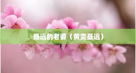 聂远的老婆（黄奕聂远）