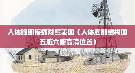 人体胸部疼痛对照表图（人体胸部结构图五脏六腑高清位置）