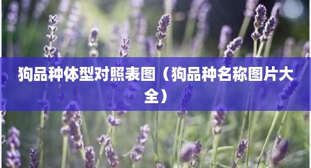 狗品种体型对照表图（狗品种名称图片大全）