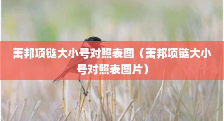 萧邦项链大小号对照表图（萧邦项链大小号对照表图片）