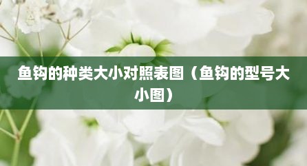 鱼钩的种类大小对照表图（鱼钩的型号大小图）