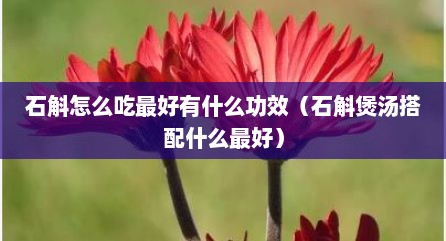 石斛怎么吃最好有什么功效（石斛煲汤搭配什么最好）