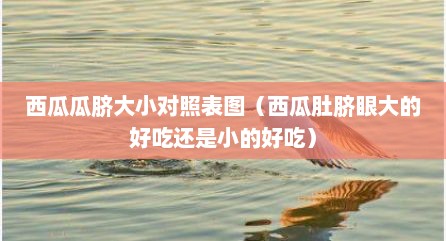 西瓜瓜脐大小对照表图（西瓜肚脐眼大的好吃还是小的好吃）