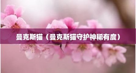 曼克斯猫（曼克斯猫守护神稀有度）