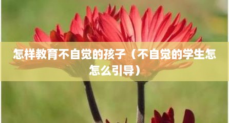 怎样教育不自觉的孩子（不自觉的学生怎怎么引导）