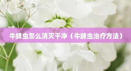 牛蜱虫怎么消灭干净（牛蜱虫治疗方法）