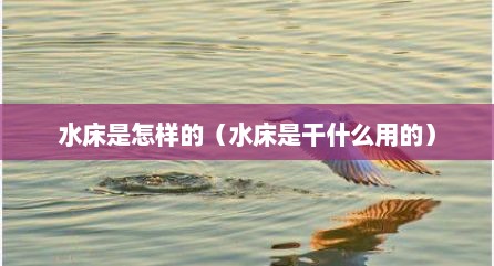 水床是怎样的（水床是干什么用的）