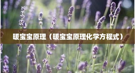 暖宝宝原理（暖宝宝原理化学方程式）