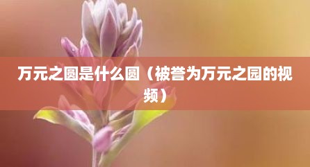 万元之圆是什么圆（被誉为万元之园的视频）