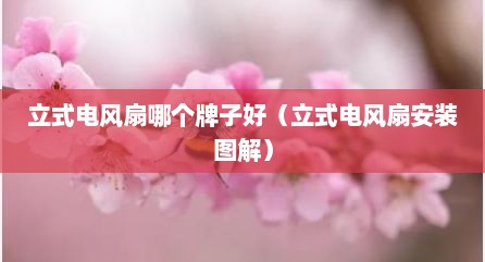 立式电风扇哪个牌子好（立式电风扇安装图解）