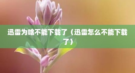 迅雷为啥不能下载了（迅雷怎么不能下载了）