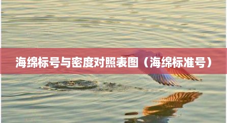 海绵标号与密度对照表图（海绵标准号）