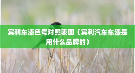 宾利车漆色号对照表图（宾利汽车车漆是用什么品牌的）
