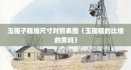 玉镯子粗细尺寸对照表图（玉镯粗的比细的贵吗）