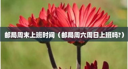 邮局周末上班时间（邮局周六周日上班吗?）
