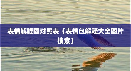 表情解释图对照表（表情包解释大全图片搜索）