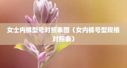 女士内裤型号对照表图（女内裤号型规格对照表）