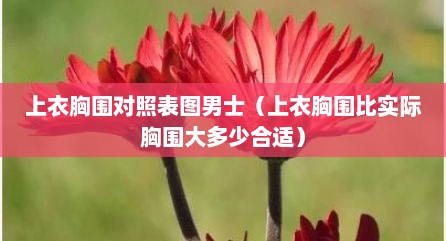 上衣胸围对照表图男士（上衣胸围比实际胸围大多少合适）