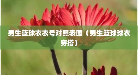 男生篮球衣衣号对照表图（男生篮球球衣穿搭）