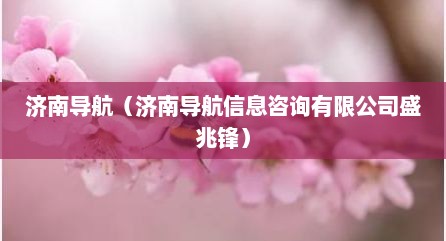 济南导航（济南导航信息咨询有限公司盛兆锋）
