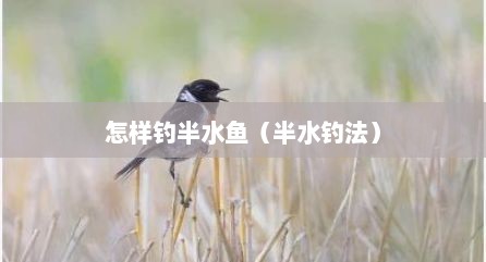 怎样钓半水鱼（半水钓法）