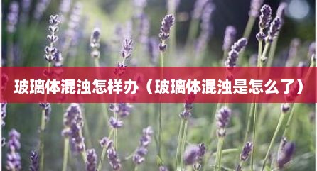 玻璃体混浊怎样办（玻璃体混浊是怎么了）