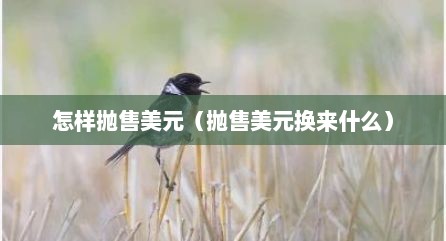 怎样抛售美元（抛售美元换来什么）